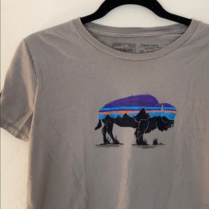 Patagonia Fitz Roy Bison Crew Tee
